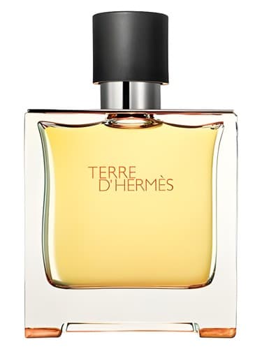 Hermès Terre d'Hermes Parfum bottle
