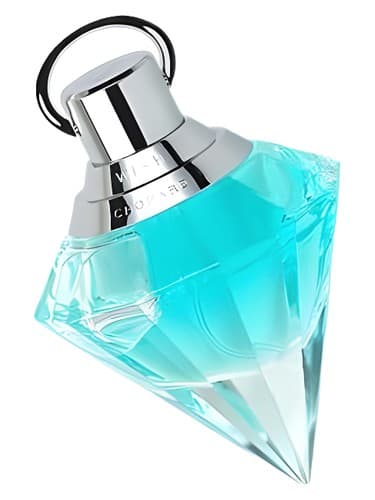 Dolce & Gabbana Light Blue bottle